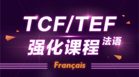 TEF/TCF强化课程